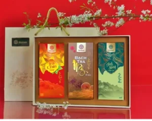SÉT QUÀ: SUM VẦY (TRÀ CHÍN HỘP 100G + BẠCH TRÀ MÂY 50G +TRÀ SỐNG HỘP 100G)
